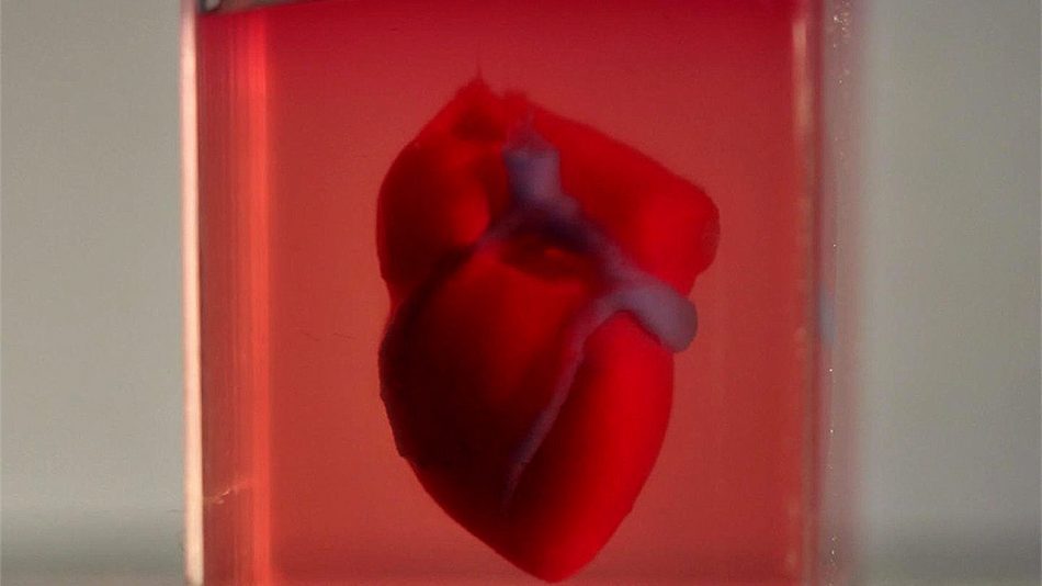 Scientists Print First 3D Heart Using A Patients Own Cells Not All