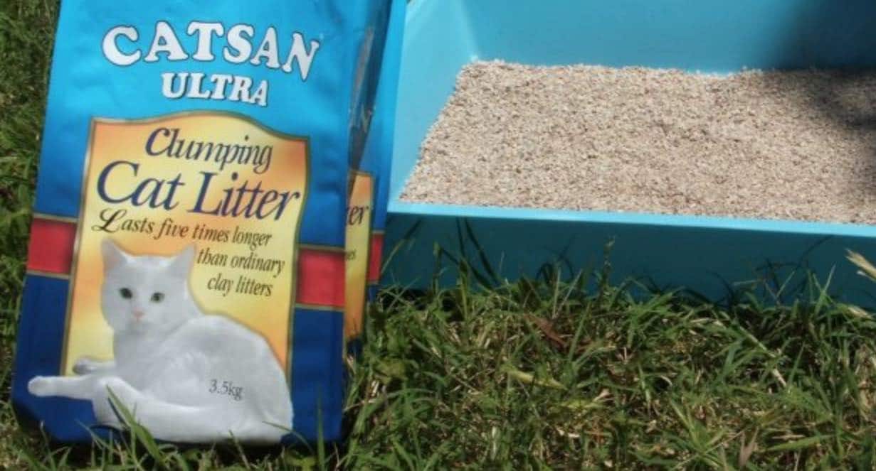 Common Clay in Kitty Litter Could Be the Friendliest Way to Cut