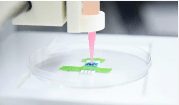 South Korean scientists successfully 3D printed a living cornea aimed at restoring vision in blind patients