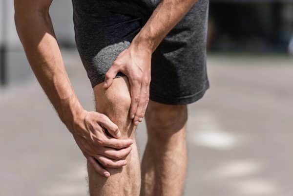How blocking one protein regenerates knee cartilage in aging mice and human tissue | The Optimist Daily