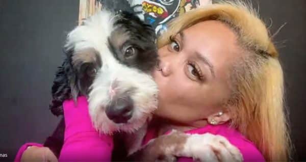 Her dog had been missing for seven months. Then his photo appeared online.